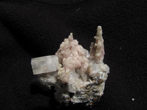 Thomsonite + Apophyllite
Moonen Bay, Isle of Skye, Scotland, UK
33mm x 30mm x 24mm
Pink coloured thomsonite in delicate stalactitic growths; quite unusual but rather pretty. The one on the right is 14mm tall. Associated with pinacoidal terminated apophyllite crystals.
Self-collected 2005 (Author: Mike Wood)