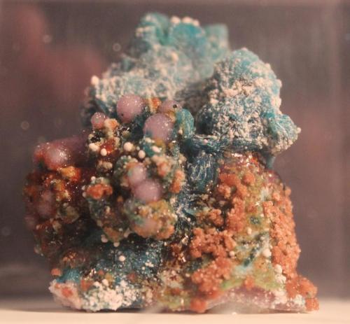 Chalcanthite, Coquimbite
Rio Tinto, Spain
4.3 x 3.8 cm (Author: Don Lum)