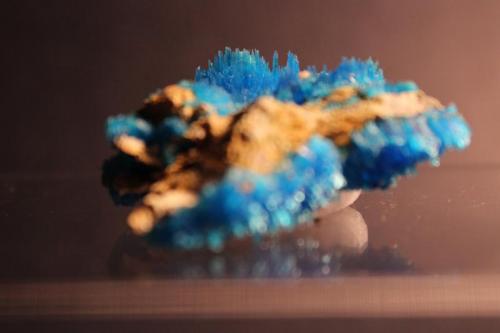 Chalcanthite
Arizona, USA
5 x 4.2 cm (Author: Don Lum)