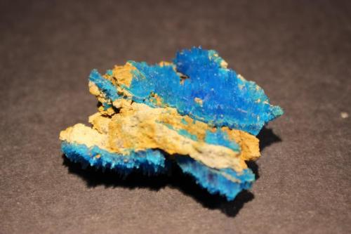 Chalcanthite
Arizona, USA
5 x 4.2 cm (Author: Don Lum)