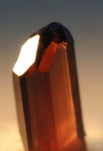 Painite
Thu-Rein-Thaung (Sun Mountain), Wetloo quarter, W of Mogok, Burma.
5 mm. (Author: Ru Smith)