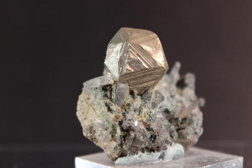 Pyrite, Quartz
Clear Creek County, Leavenworth Mountain, Colorado, USA
3.7 x 3.5 cm (Author: Don Lum)