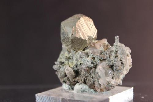 Pyrite, Quartz
Clear Creek County, Leavenworth Mountain, Colorado, USA
3.7 x 3.5 cm (Author: Don Lum)
