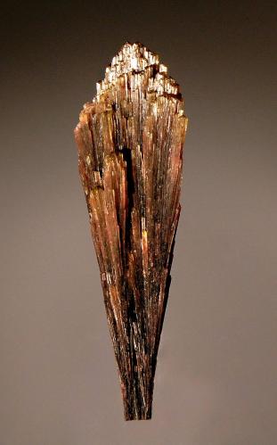 Elbaite
Toca da Onca Mine, Barra de Salinas, Minas Gerais, Brazil
2.8 x 8.5 cm.
Fasciculated group of doubly terminated, olive green crystals with pink tinges. (Author: crosstimber)