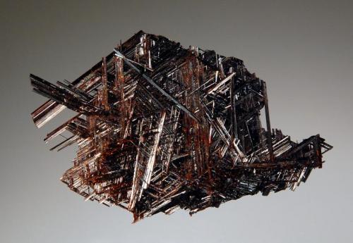 Rutile
Diamantina, Minas Gerais, Brazil
3.5 x 5.2 cm.
Lustrous, reddish brown, reticulated crystals to 2.5 cm. forming a thin plate. Collected in 2005. (Author: crosstimber)
