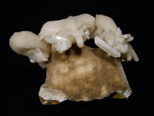 Stilbite + ’Mesolite’
’Glen Caladale’, Loch Eynort, Isle of Skye, Scotland, UK
10cm across x 7cm high x 3cm deep
View of the same specimen from the back. The stilbite isn’t the freshest I’ve seen but the lustre is quite good and there is very little damage. But it is certainly one of the most aesthetic specimens I have collected. (Author: Mike Wood)