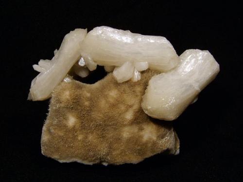 Stilbite + ’Mesolite’
’Glen Caladale’, Loch Eynort, Isle of Skye, Scotland, UK
10cm across x 7cm high x 3cm deep
Three large stilbite crystals in a ’wheatsheaf’ habit perched on a mound of basalt matrix covered with ’mesolite’ crystals. The stilbite crystal on the right is 52mm long. This is the best specimen, found in a large pipe cavity in a very large boulder on my first visit to this little-known locality. The ’mesolite’ is rather dirty but I decided to leave it so as it shows off the stilbite nicely !
Self-collected 1996 (Author: Mike Wood)