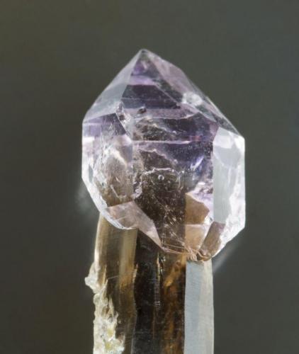 Quartz var amethyst, sceptre.
Sakangyi area, west of Mogok, Shan State, Burma.
23 mm. (Author: Ru Smith)