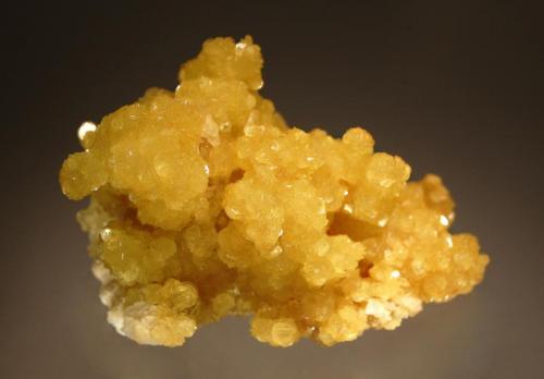 Lepidolite
Itinga, Jenipapo District, Minas Gerais, Brazil
6.5 x 7.5 cm.
Yellow, partly gemmy rosettes to 2 mm in a mounded form. (Author: crosstimber)
