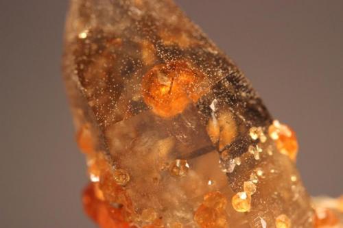 Spessartine, Quartz (var Smoky Quartz)
Tongbei, Yunxiao, Fujian Province, China
5.5 x 5.2 cm
ex-Carles Vila
Spessartine garnet on and included in Smoky Quartz (Author: Don Lum)