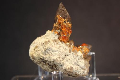 Spessartine, Quartz (var Smoky Quartz)
Tongbei, Yunxiao, Fujian Province, China
5.5 x 5.2 cm
ex-Carles Vila
Spessartine garnet on and included in Smoky Quartz (Author: Don Lum)