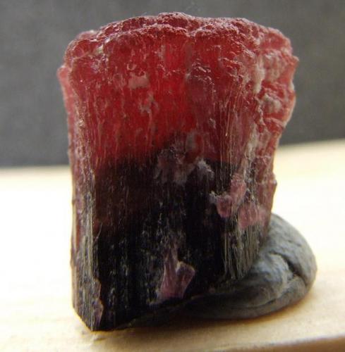 Tourmaline
Palelni Mine, Molo Quarter, Mogok, Burma
15 x 12 x 10 mm (Author: nurbo)