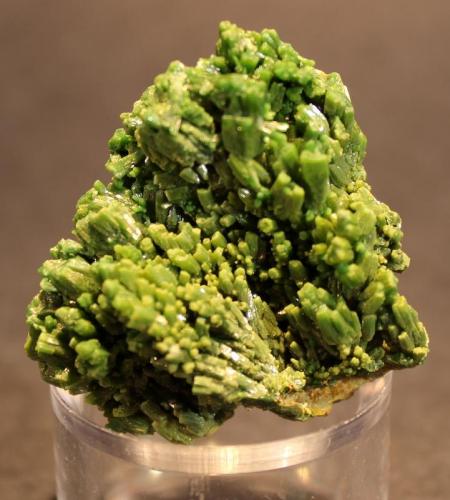 Pyromorphite
Les Farges Mine, Ussel, Correze, France
3.5 x 3.4 cm (Author: Don Lum)