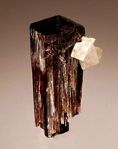 Uvite
Serra das Éguas, Brumado, Bahia, Brazil
2.2 x 4.2 cm.
Elongated, cranberry-colored, doubly terminated uvite crystal with colorless rhombs of magnesite. (Author: crosstimber)