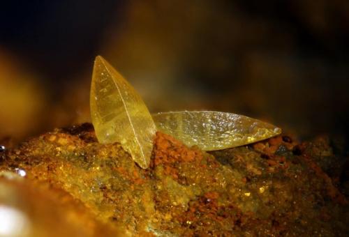 Wulfenita
Cortijo del Humo. Albuñuelas. Granada. Andalucía. España
Cristal de 2,1 mm (Autor: Oscar Fernandez)