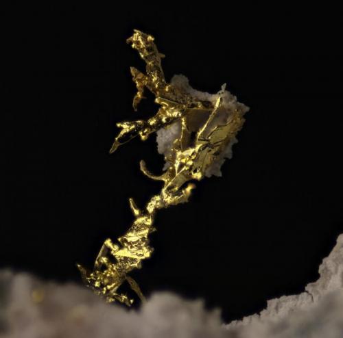 Oro
Nevada. USA
Cristal 6 mm (Autor: Oscar Fernandez)