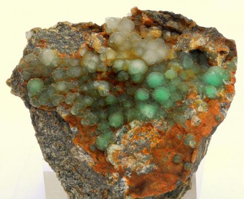 Fluorita -
Can Franquesa - Barri del Singuerlín - Santa Coloma de Gramenet - Barcelonès - Barcelona - Catalunya - España -
7,9 x 7,5 x 3,5 cm (Autor: Martí Rafel)