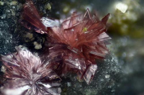 Eritrina.
Concesión La Cena del Depósito, Cerro Minado, Cuesta Alta, Huércal-Overa, Almería, Andalucía, España.
Campo de visión 2 mm. (Autor: Juan Miguel)