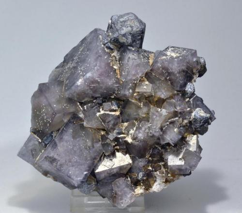 Fluorite, Galena
Heights Quarry, Westgate, Weardale, North Pennines, Co. Durham, England, UK
10cm x 10xm (Author: James)