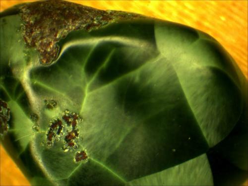 Chlorastrolite
Isle Royale, Upper Peninsula Michigan, USA
.5cm x .75cm (Author: Mark Ost)