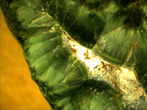 Chlorastrolite Cross section
Isle Royale, Upper Peninsula Michigan, USA
.5cm x .75cm (Author: Mark Ost)