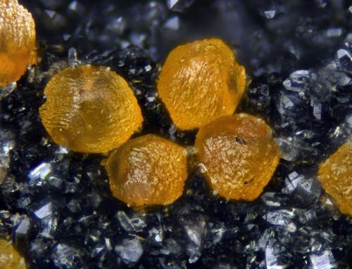 Siderita.
Túnel el Arteal, Sierra Almagrera, Cuevas del Almanzora (Cuevas de Vera), Almería, Andalucía, España.
Campo de visión 0,8 mm. (Autor: Juan Miguel)