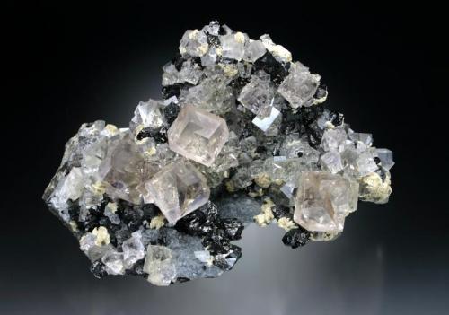 Fluorite with Sphalerite and Ankerite
Beaumont (Allenheads) Mine, Diana Vein, East Allendale, Northumberland, England, UK
10 cm across
A mound of dark gray silicified limestone covered with numerous pale lavender twinned fluorite crystals up to 1.7 cm with associated sphalerite and ankerite. Specimen was recovered ca. 1971. (Author: James)