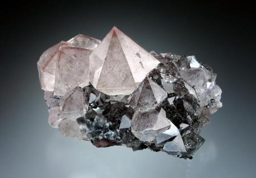 Quartz with Hematite
Egremont, Cumbria, England, UK
5.5 cm across (Author: Jesse Fisher)