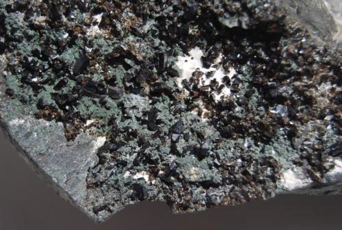Cassiterite and chlorite
Camborne district, Cornwall, United Kingdom.
13.7x9x7.5 cm., detail. (Author: Edelmin)