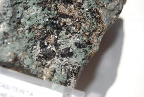 Cassiterite and chlorite
Camborne district, Cornwall, United Kingdom.
13.7x9x7.5 cm., detail. (Author: Edelmin)