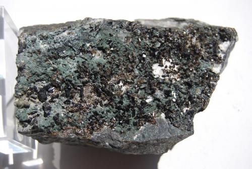 Cassiterite and chlorite
Camborne district, Cornwall, United Kingdom.
13.7x9x7.5 cm. (Author: Edelmin)