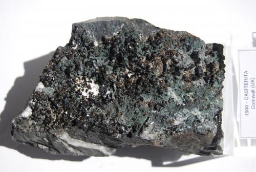 Cassiterite and chlorite
Camborne district, Cornwall, United Kingdom.
13.7x9x7.5 cm. (Author: Edelmin)