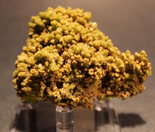 Pyromorphite
Daoping Mine, Guangxi Province, China
6.2 x  4.7 cm (Author: Don Lum)