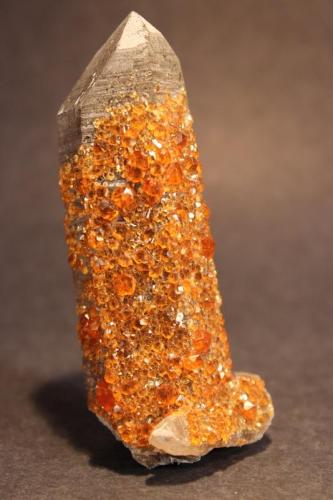 Spessartine, Quartz
Fujian Province, China
8.7 x 3.3 cm (Author: Don Lum)