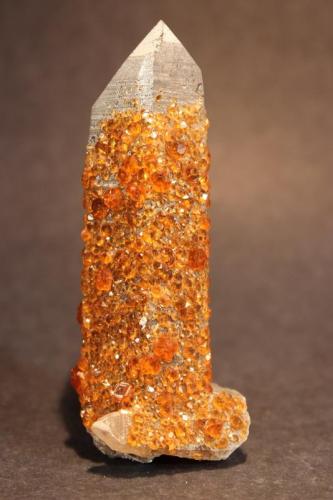 Spessartine, Quartz
Fujian Province, China
8.7 x 3.3 cm (Author: Don Lum)