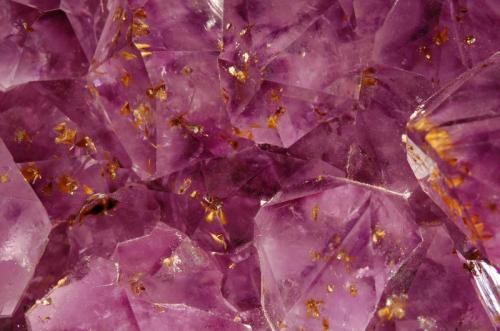 Quartz var. amethyst
Ametista do Sul, Alto Uruguai Region, Rio Grande do Sul, Brazil
14.1 x 24.5 cm. FOV=5.0 cm.
Part of a large plate of amethyst crystals, some of which are included with sprays of gold-colored goethite. (Author: crosstimber)