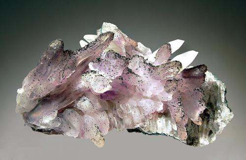 Quartz var. amethyst
Irai, Rio Grande do Sul, Brazil
5.8 x 9.3 cm.
Pale amethyst crystals sprinkled with dark green to black blebs of goethite and colorless scalenohedral calcite crystals. (Author: crosstimber)