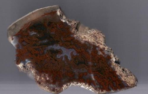 Agate
Scotland, UK
7 x 4cm (Author: James)