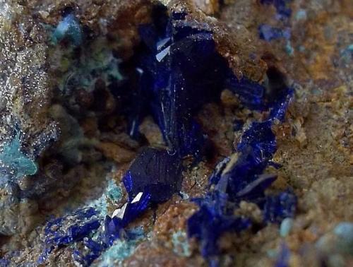 Azurita
Mina Primitiva, Vizcaya, País Vasco, España
Encuadre de 2 cm (Autor: Cristalino)