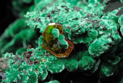 Wulfenite, Malachite
Qale-Zari Mine, South Khorasan Province, eastern Iran
Twined wulfenite crystals with balls of malachite, measuring 3.5 mm along the larger edge. (Author: vhairap)
