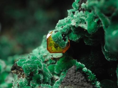 Wulfenite, Malachite
Qale-Zari Mine, South Khorasan Province, eastern Iran
Hanging glorious wulfenite crystal and malachite balls. The size of crystal measuring 3 mm along the edge. (Author: vhairap)