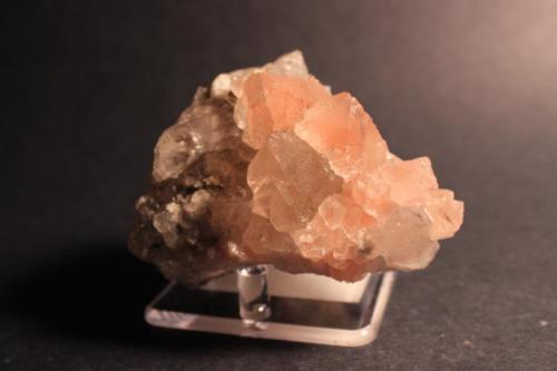 Fluorite, Quartz
Bratschi, Goscheneralp, Uri, Switzerland
9.2 x 6.5 cm
ex Obodda
ex Gunnell (Author: Don Lum)