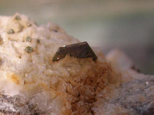 Siegenite
Gelli Colliery, Gelli, Rhonnda-Cynon-Taff, Wales, UK
Platy siegenite crystal 6mm across, with smaller octahedral siegenite crystals scattered around it. This is huge for the south Wales Coalfield and, to my knowledge, much the largest found in the UK. Identification confirmed at the National Museum of Wales. Collected August 1988. (Author: ian jones)