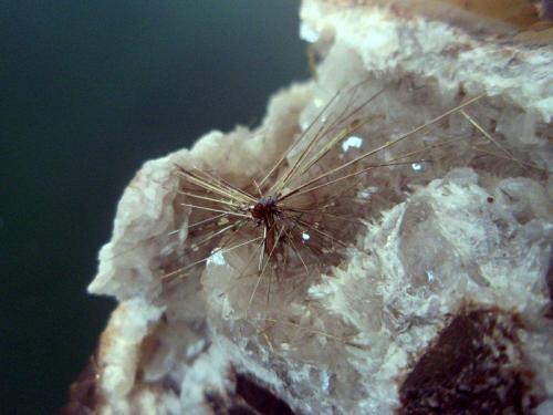 Millerite
Coed Ely Colliery, Coed Ely, Rhondda-Cynon-Taff, Wales, UK
Spray of bright millerite crystals to 15mm with a small ball of transparent red hydrocarbon at the centre. Collected April 1996 (Author: ian jones)