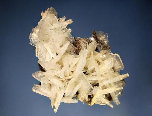 Barite
Huanzala Mine, Huallanca District, Dos de Mayo Prov., Peru
6.5 x 8.0 cm.
Colorless bladed barite crystals to 2 cm covering a thin plate of matrix which is dusted with micro pyrite crystals. (Author: crosstimber)