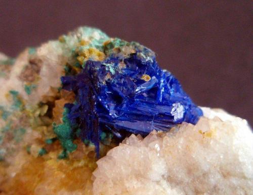 Linarite
Roughten Gill Mine, Caldbeck Fells, Cumbria, England, UK
Linarite crystals, typically 1cm. (Author: ian jones)