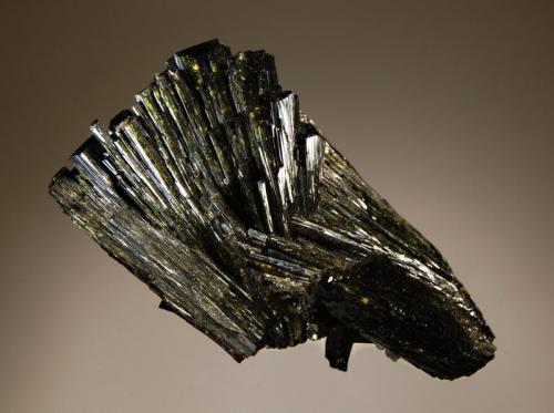 Epidote
Rosario Mabel Claim, Pampa Blanca, Castrovirreyna Dist., Huancavelica Dept., Peru.
4.5 x 8.0 cm.
Intersecting sprays of lustrous dark green, bladed epidote crystals with chisel-shaped terminations. This locality is also sometimes known as the Flor de Peru II claim. (Author: crosstimber)