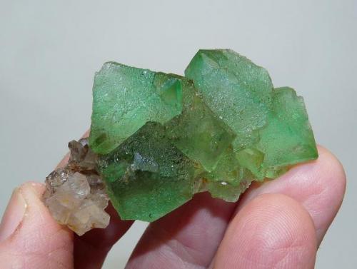 Fluorite and Quartz
Riemvasmaak, Northern Cape, South Africa
55 x 32 x 18 mm
Same as above. (Author: Pierre Joubert)