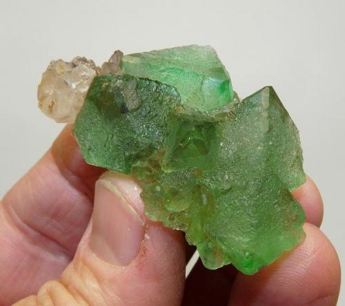 Fluorite and Quartz
Riemvasmaak, Northern Cape, South Africa
55 x 32 x 18 mm
Same as above (Author: Pierre Joubert)