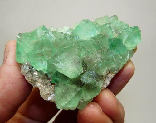 Fluorite and Quartz
Riemvasmaak, Northern Cape, South Africa.
67 x 48 x 22 mm
Same as above. (Author: Pierre Joubert)